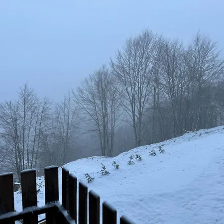 Apartment Dd - Mavrovo